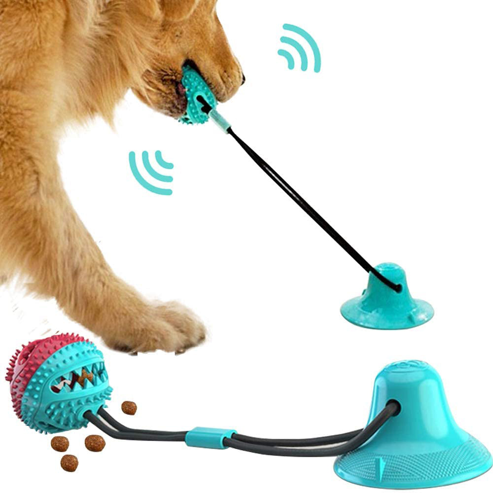 Dog Toys & Entertainment