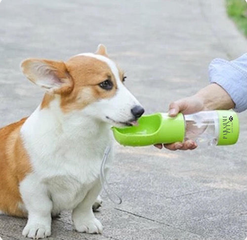 2 IN 1 PORTABLE PET FEEDER - GREEN PAWSOME PETS
