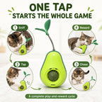 Avocado Cat Tumbler Toy