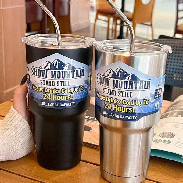 Stainless Steel Insulated Thermos Cup with Straw for Travel and Daily Use EZ Carthub