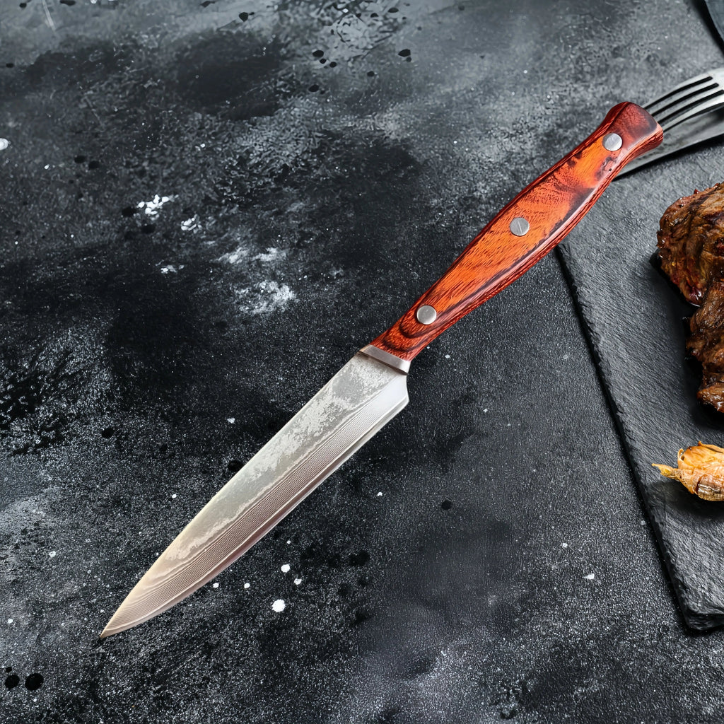 67 Layer Damascus Steel Steak Knife with Wood Handle and Protective Sheath EZ Carthub