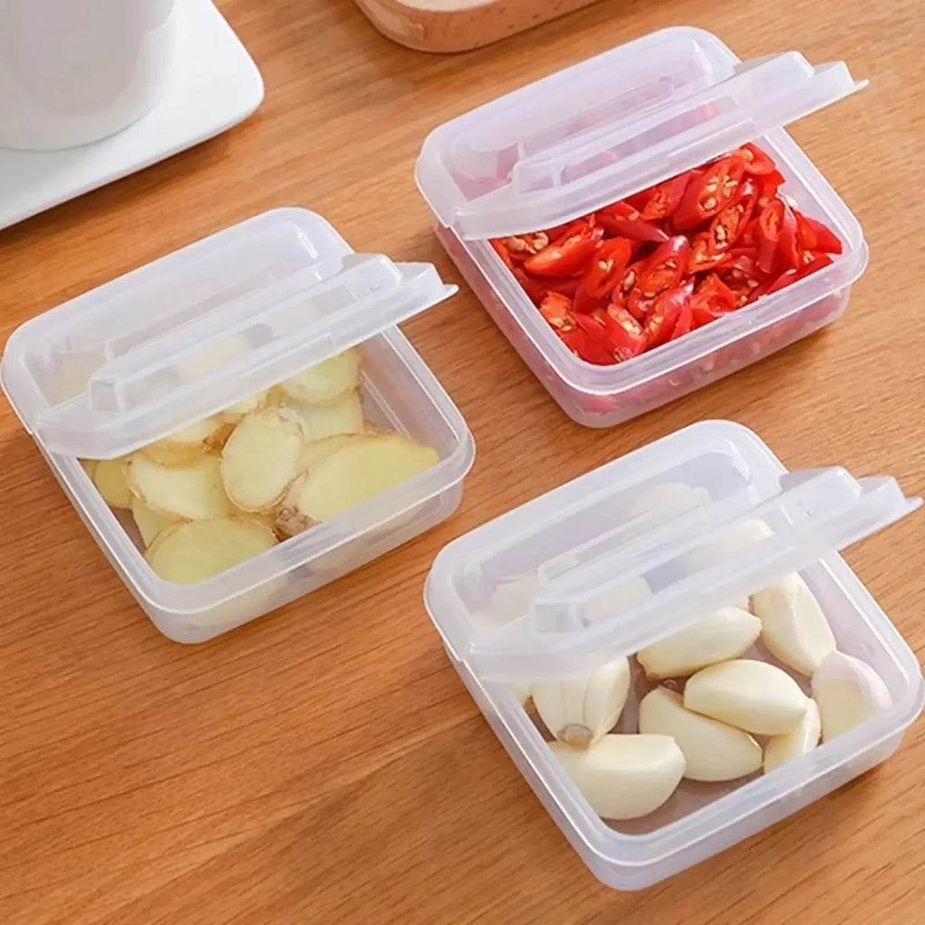 Clear Cheese Storage Container with Flip Lid for Fresh Refrigerator Organization EZ Carthub