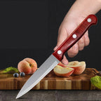 Stainless Steel Paring Knife with Wood Grain Handle for Everyday Food Preparation EZ Carthub