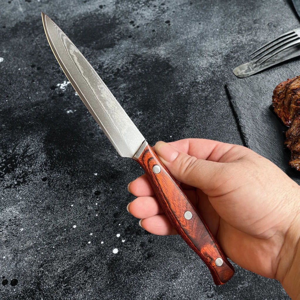 67 Layer Damascus Steel Steak Knife with Wood Handle and Protective Sheath EZ Carthub