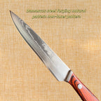 67 Layer Damascus Steel Steak Knife with Wood Handle and Protective Sheath EZ Carthub