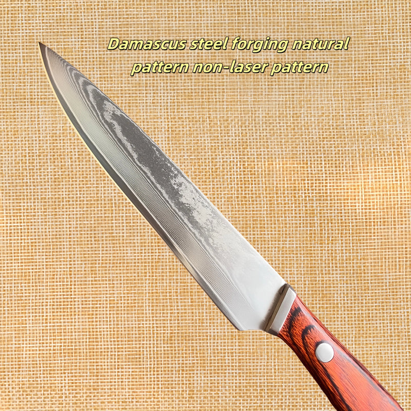 67 Layer Damascus Steel Steak Knife with Wood Handle and Protective Sheath EZ Carthub