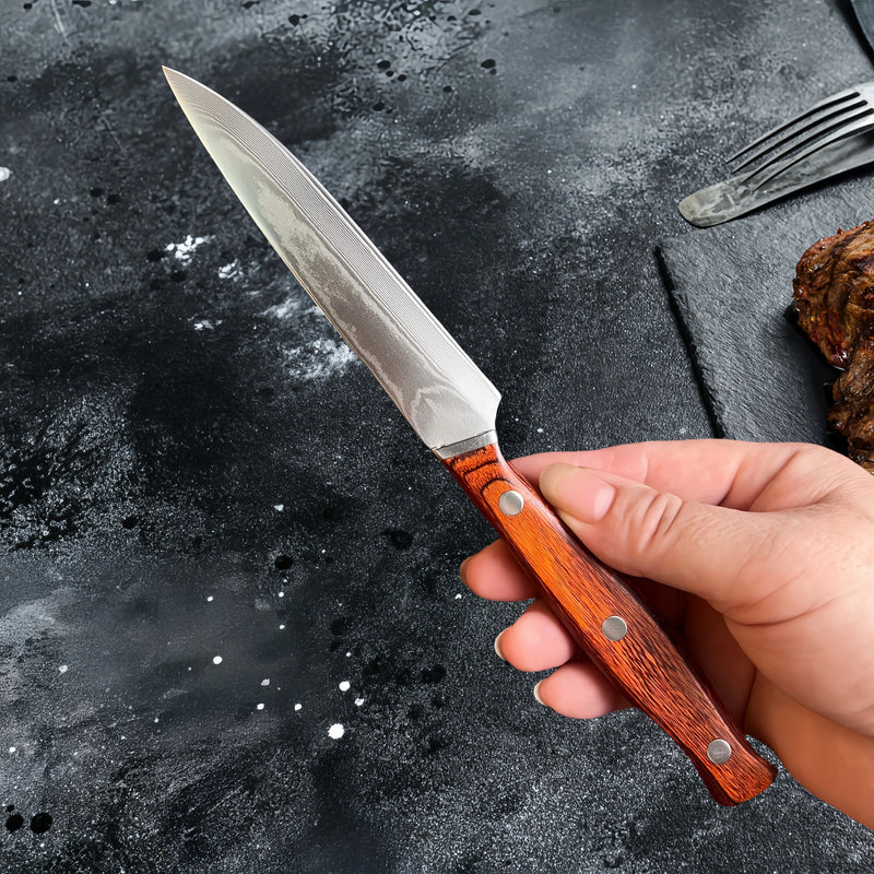 67 Layer Damascus Steel Steak Knife with Wood Handle and Protective Sheath EZ Carthub