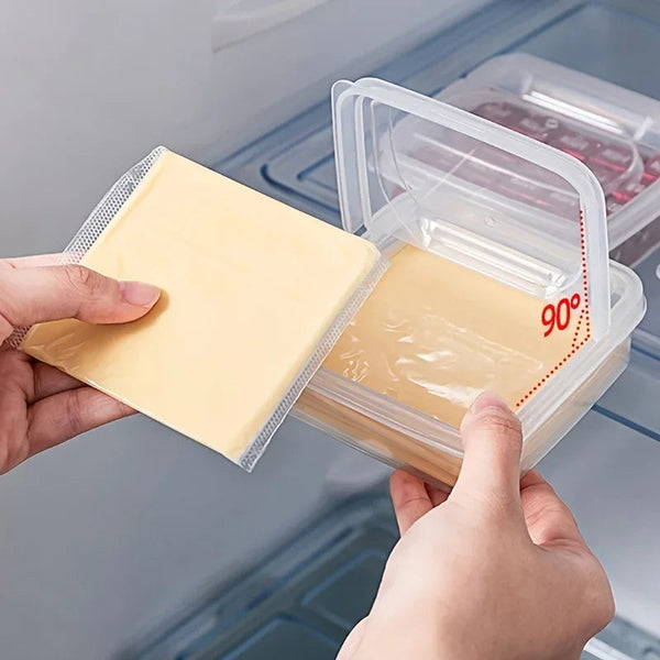 Clear Cheese Storage Container with Flip Lid for Fresh Refrigerator Organization EZ Carthub