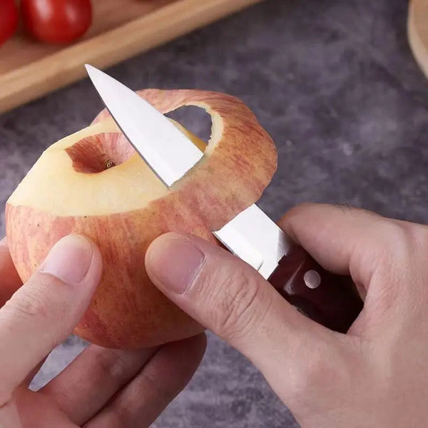 Stainless Steel Paring Knife with Wood Grain Handle for Everyday Food Preparation EZ Carthub