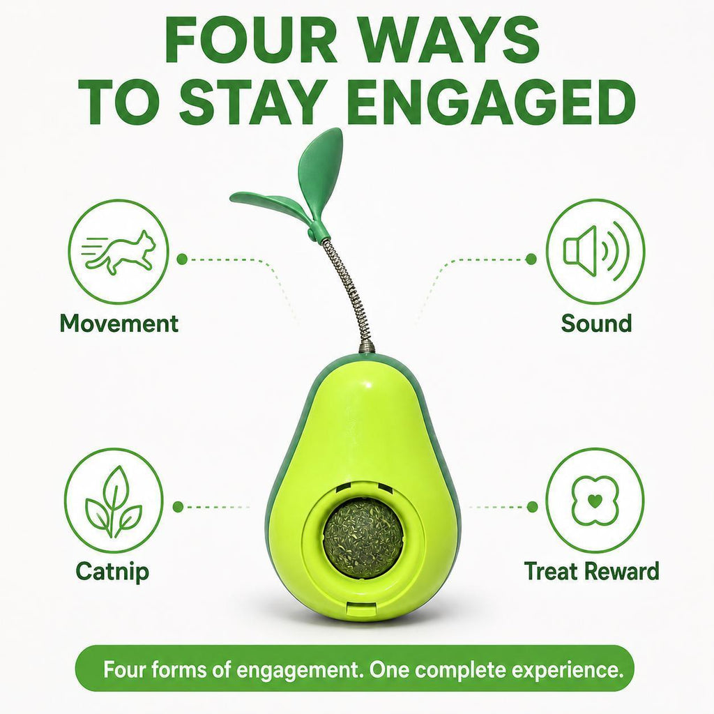 Avocado Cat Tumbler Toy