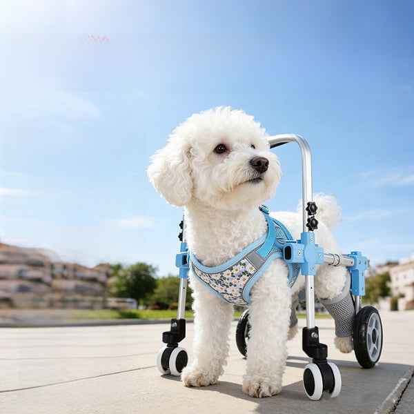 Adjustable Pet Mobility Wheelchair EZ Carthub